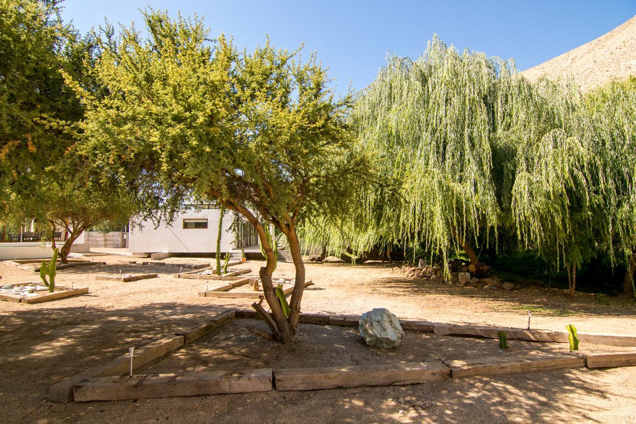 Aldea Del Valle - Elqui Villas, פיסקו אלקי מראה חיצוני תמונה
